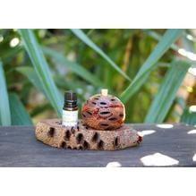 Banksia Seed Essential Oil Stand Banksia Gifts Australia Inspire Me Naturally